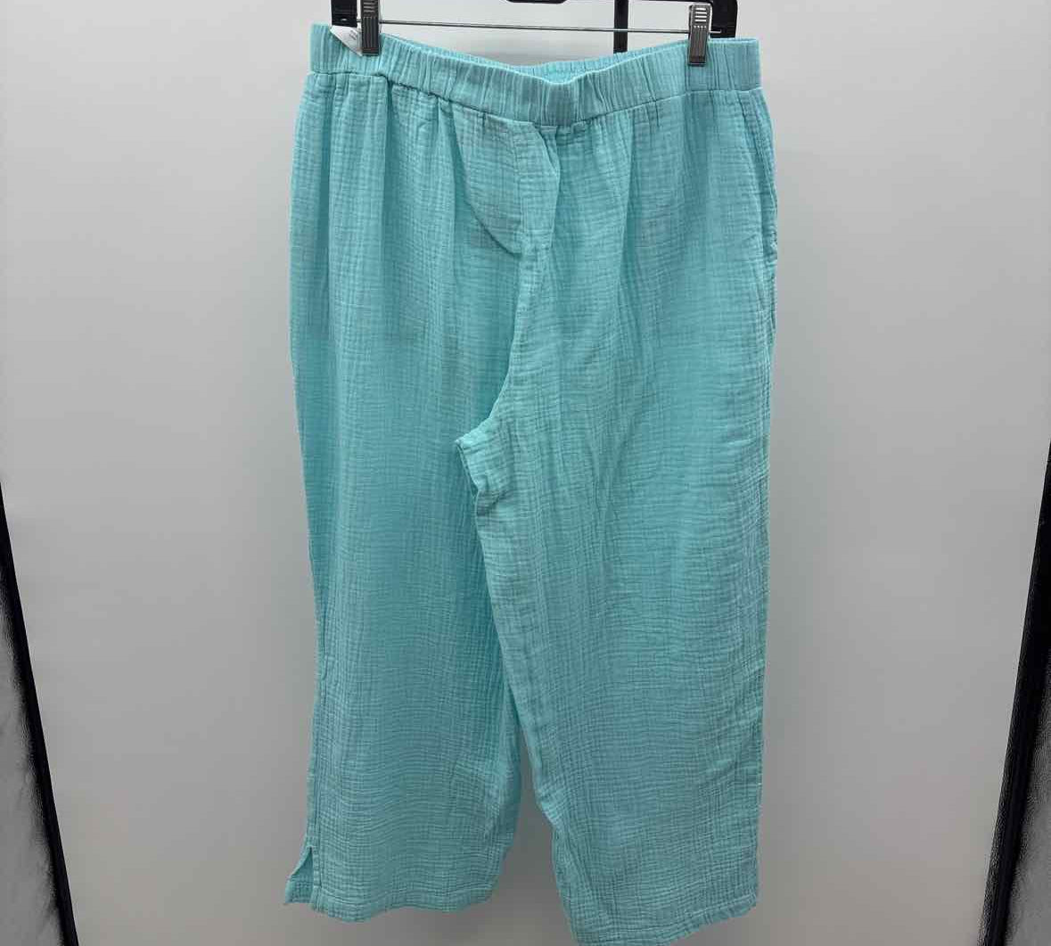 Denim & Co Women's Size 10 Aqua Textured Pants