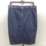 Banana Republic Women's Size 10 Blue Solid Skirt