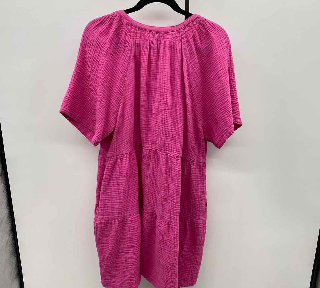 Gap Women's Size 16 Pink Textured Dress