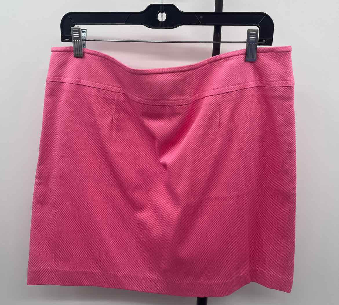 Skirting Around Women's Size 12 Pink Textured Skirt