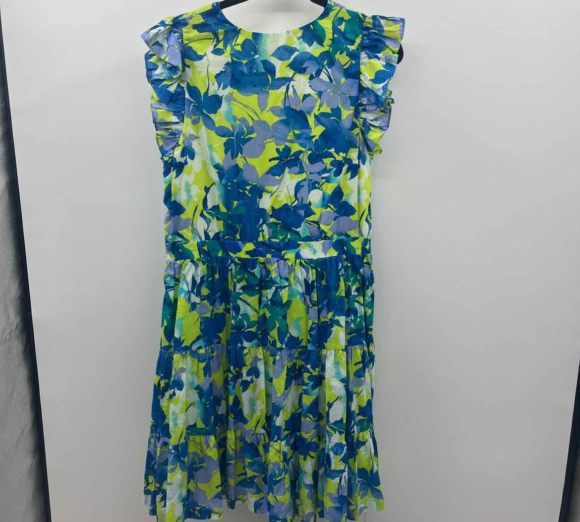 Taylor Women's Size 16 Blue Floral Dress