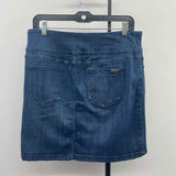 SC & Co Women's Size 14 Blue Solid Skirt