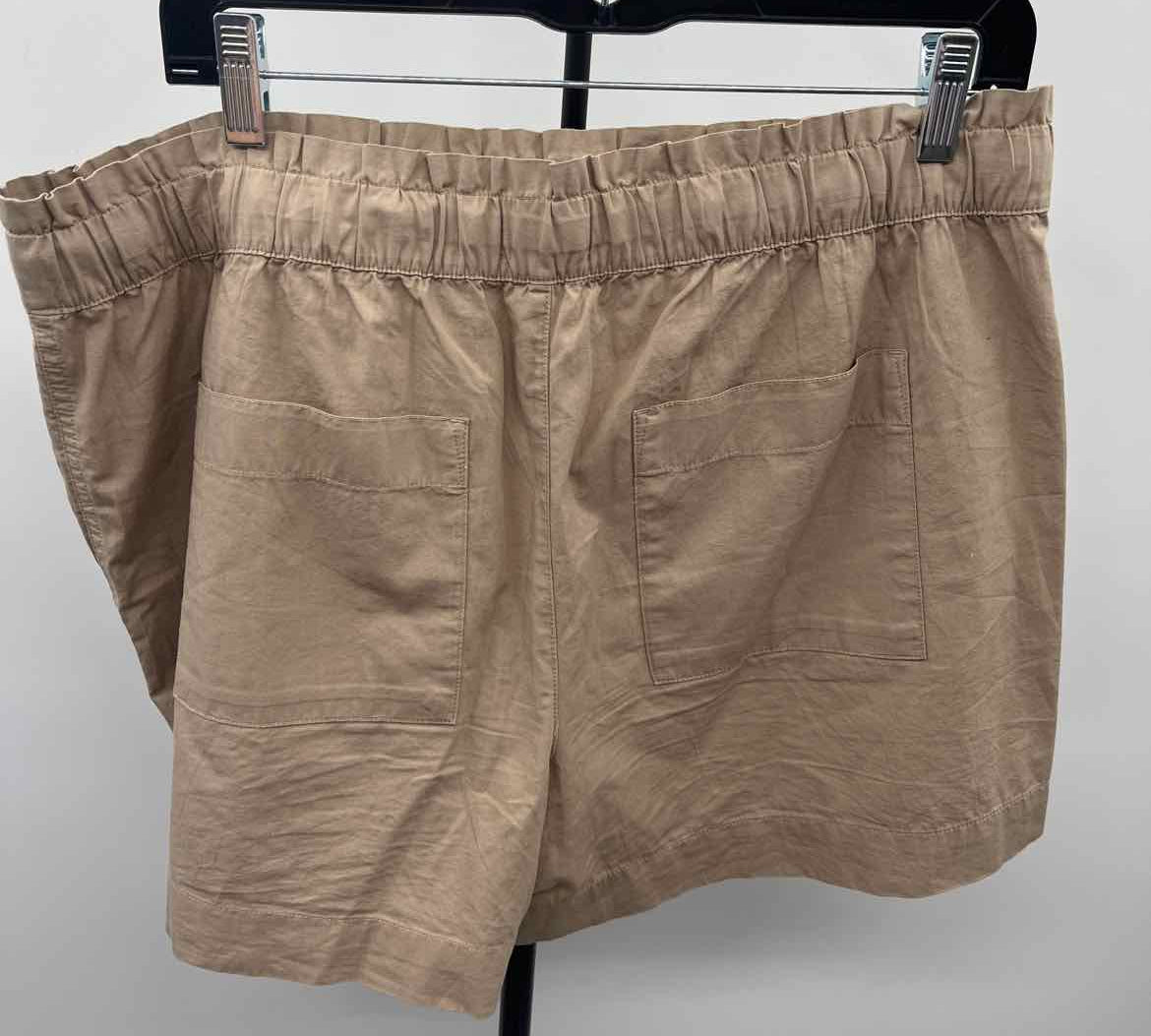 Loft Women's Size 14 Tan Solid Shorts