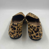 Steve Madden Women's Shoe Size 7 Tan Animal Print Flats