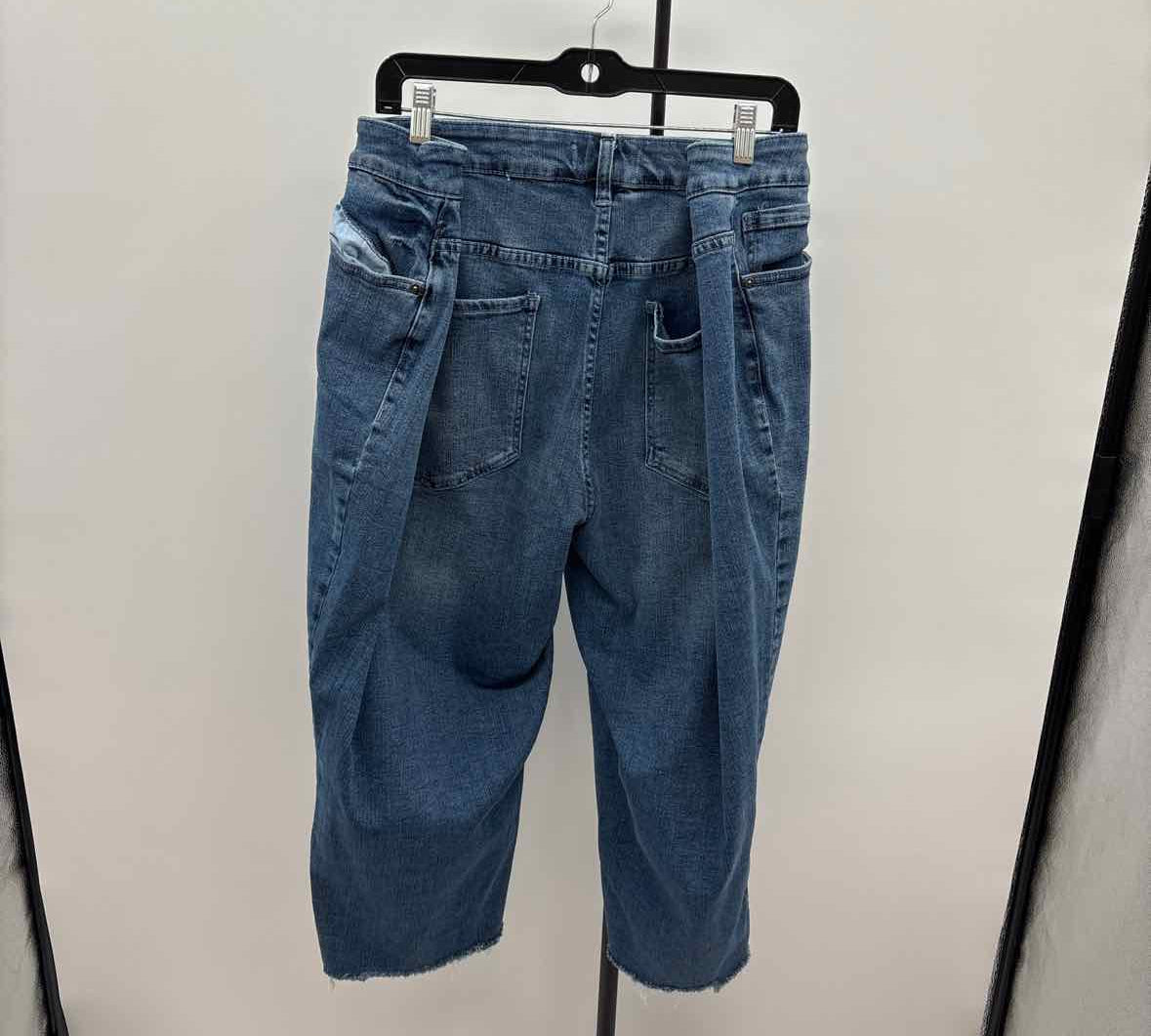 Lane Bryant Women's Size 26 Blue Beaded Capris