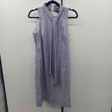 Banana Republic Women's Size 2 Blue Stripe Dress