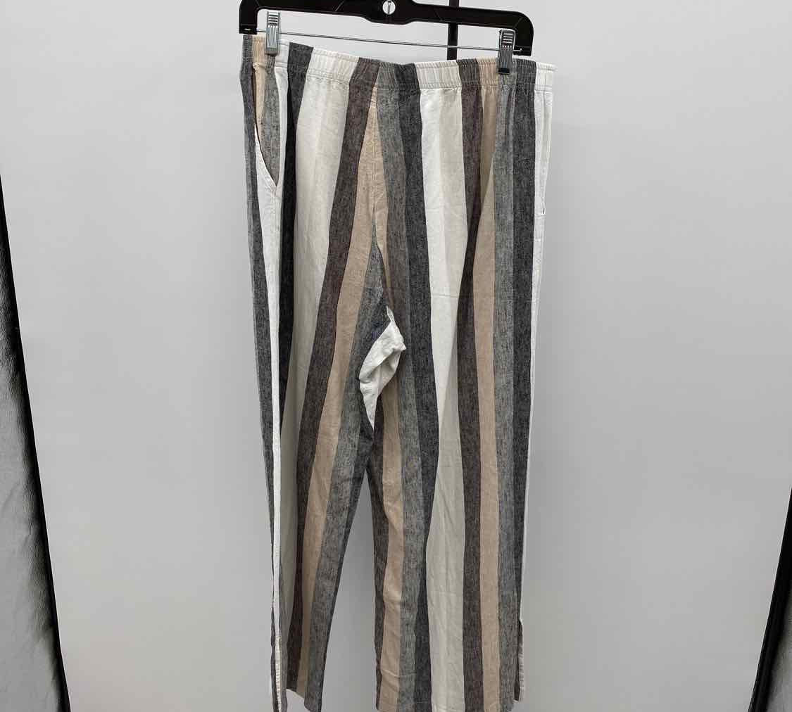 Focus Women's Size 14 Multi-Color Stripe Pants