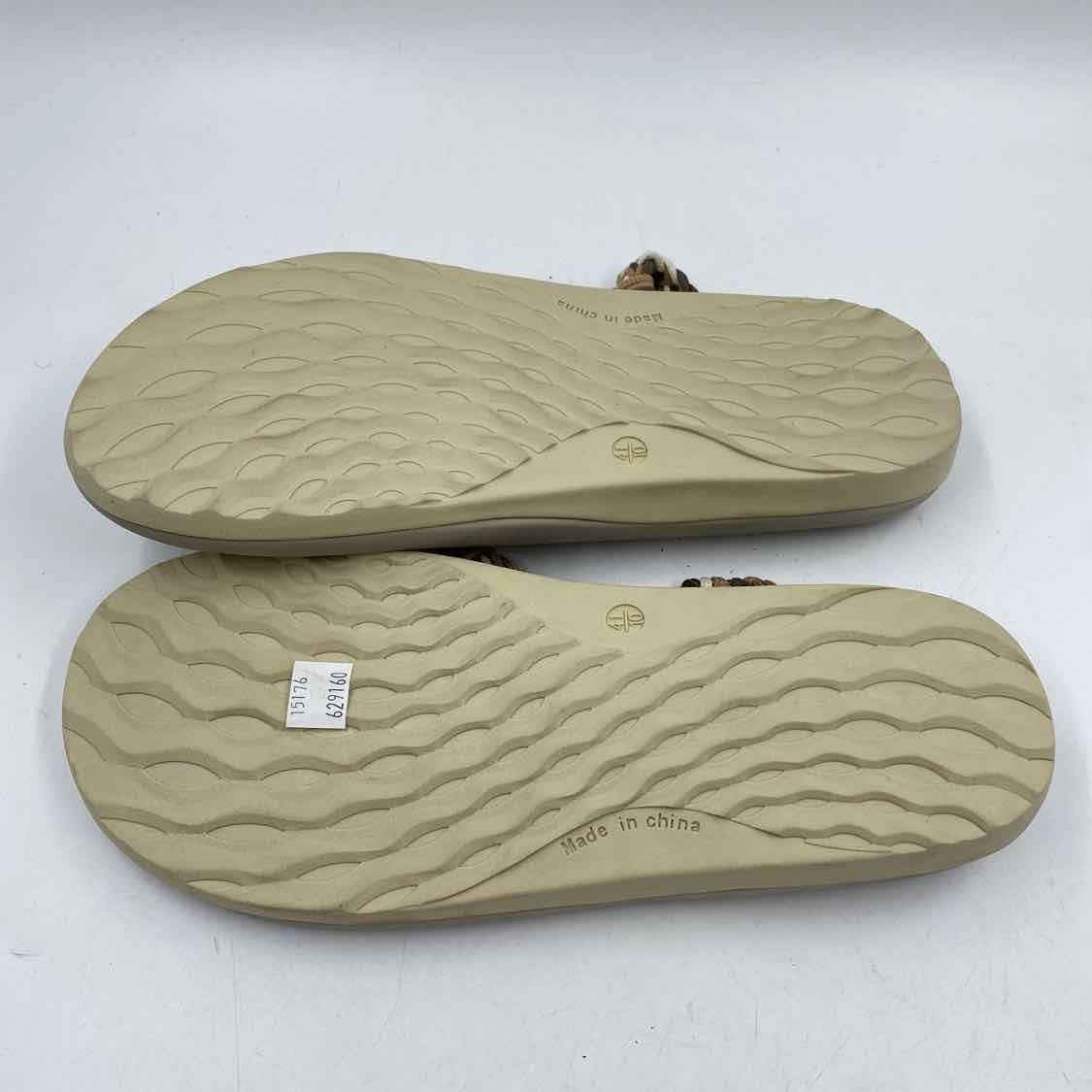 Slide image