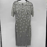 Adrianna Papell Women's Size M Silver Sequins Gown/Evening Wear