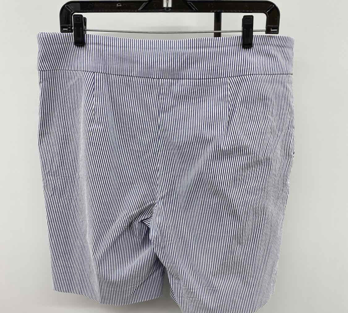 Counterparts Women's Size 14 Blue Stripe Shorts