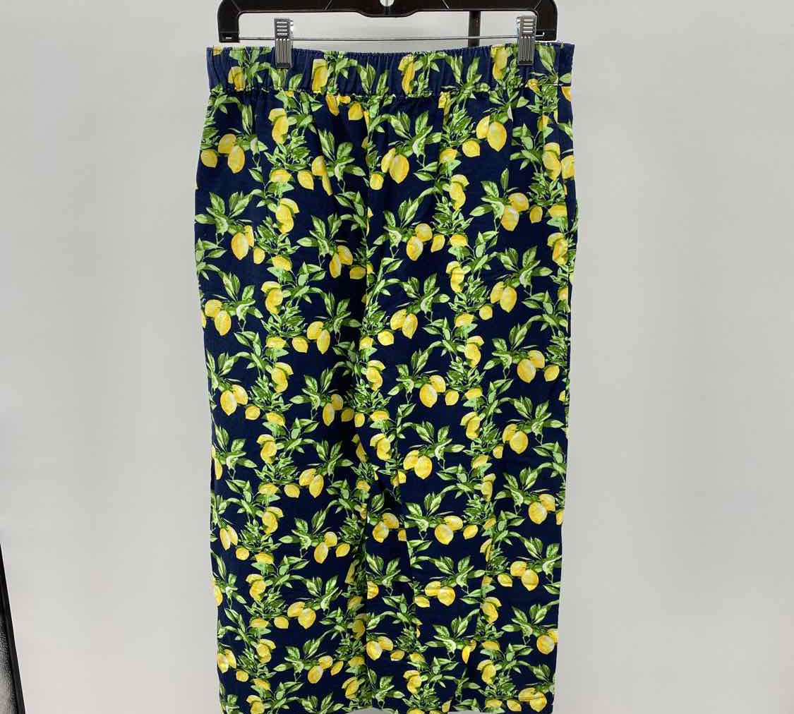 Loft Women's Size 6P Navy Lemons Pants