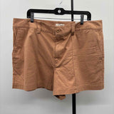 Loft Women's Size 16 Tan Solid Shorts