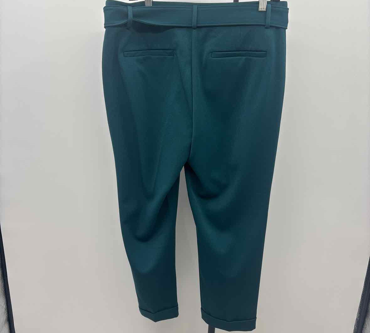 Loft Women's Size 12P Teal Solid Pants