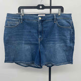 Jen7 Women's Size 18 Blue Solid Shorts