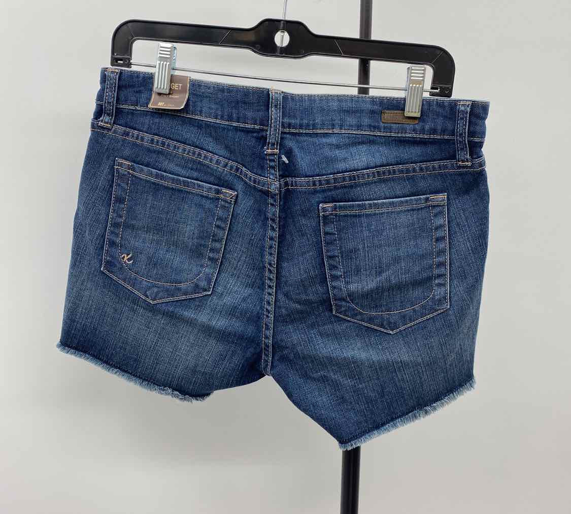 KUT Women's Size 10 Blue Embroidered Shorts