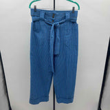 Tory Burch Women's Size 8 Blue Stripe Pants