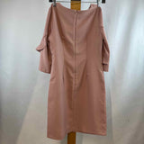 Banana Republic Women's Size 0 Pink Solid Dress