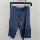 O'Neill Men's Size 30 Blue Striped Shorts