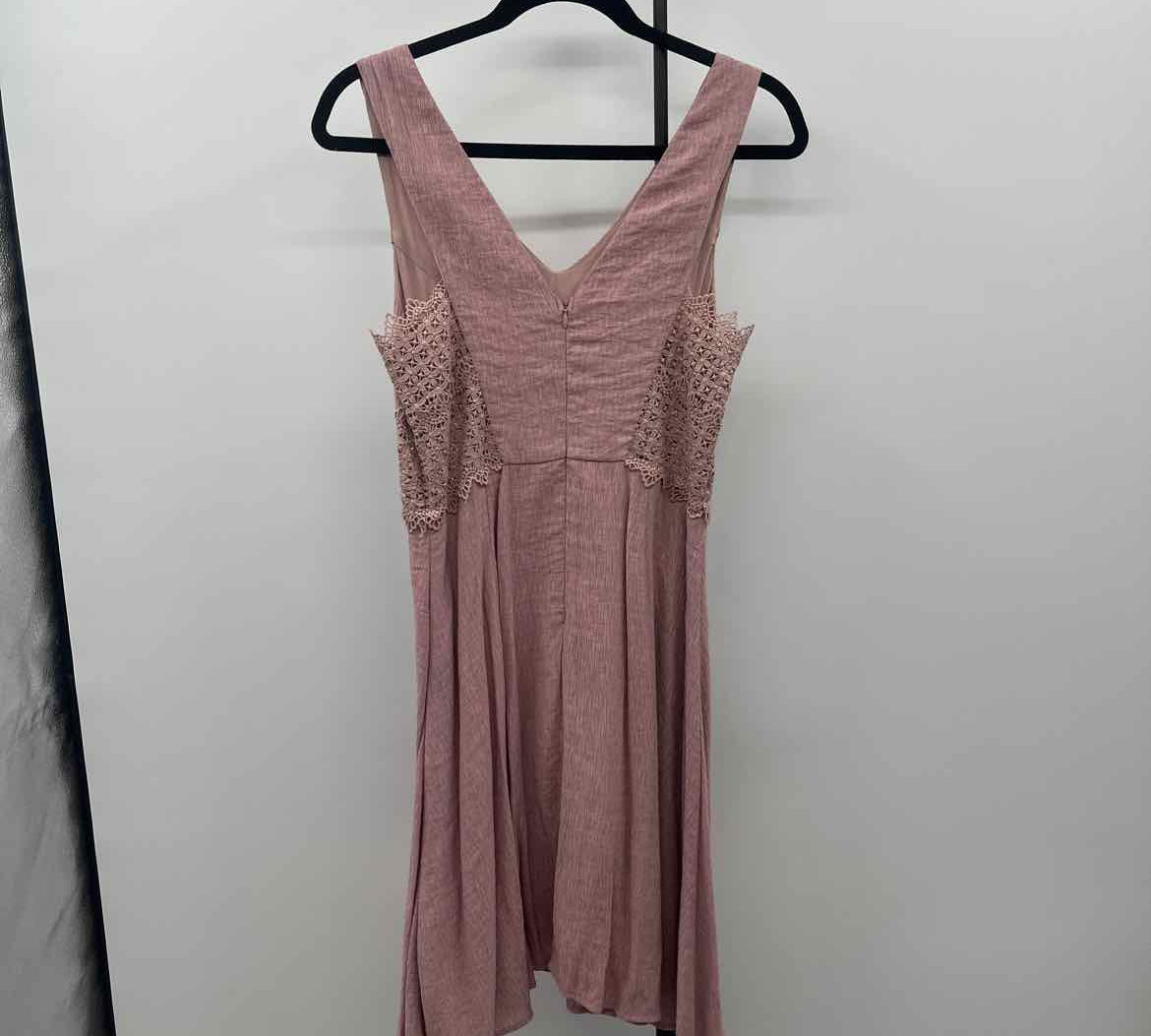 Altar'd State Junior's Size 6 Mauve Textured Dress