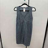 Patagonia Women's Size 10 Blue Stripe Dress