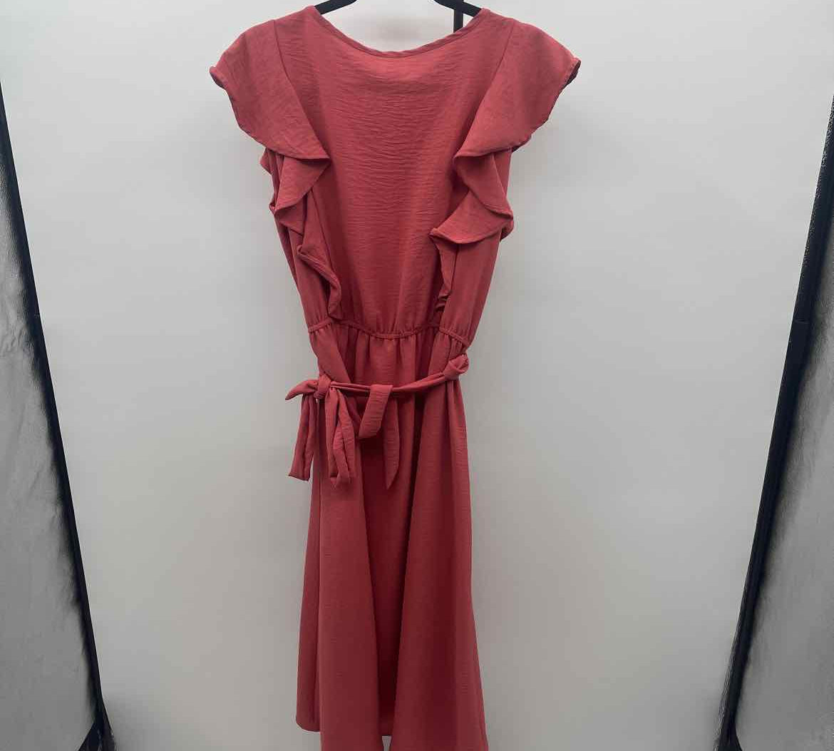 Flamingo Women's Size 14 Terracotta Solid Dress