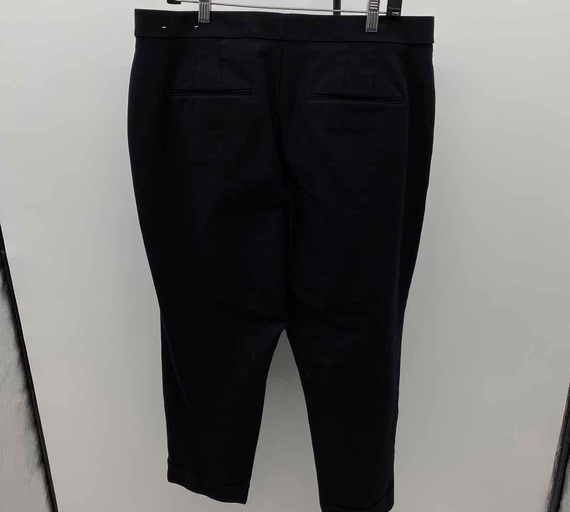 Ann Taylor Women's Size 16 Black Solid Pants