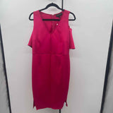 Lane Bryant Women's Size 14 Fuschia Solid Dress
