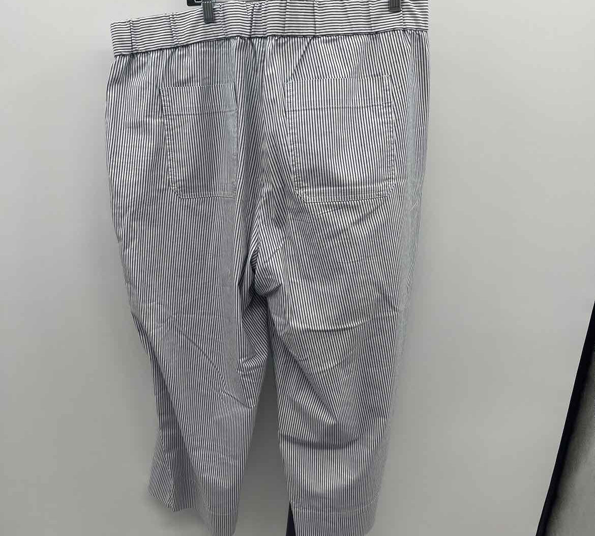 Talbots Women's Size 20 Blue Stripe Pants