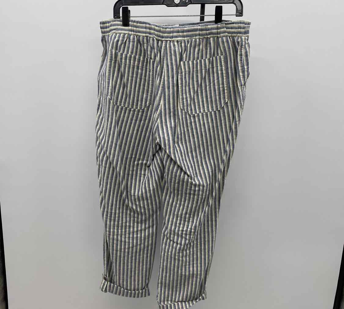 Natural Women's Size 10 Blue Stripe Pants