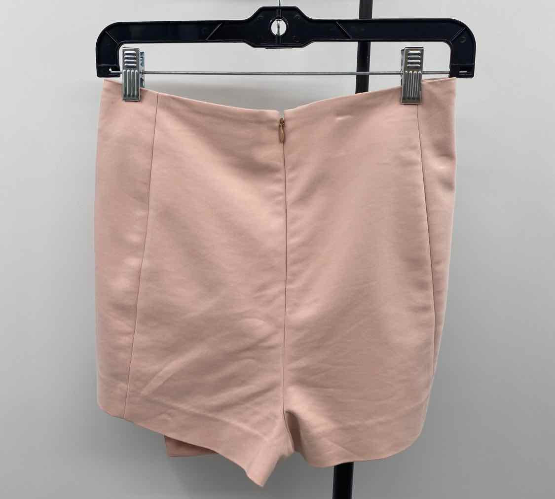 Express Women's Size 10 Blush Solid Skirt