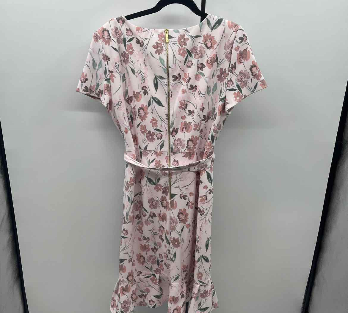 Calvin Klein Women's Size 16 Pink Floral Dress