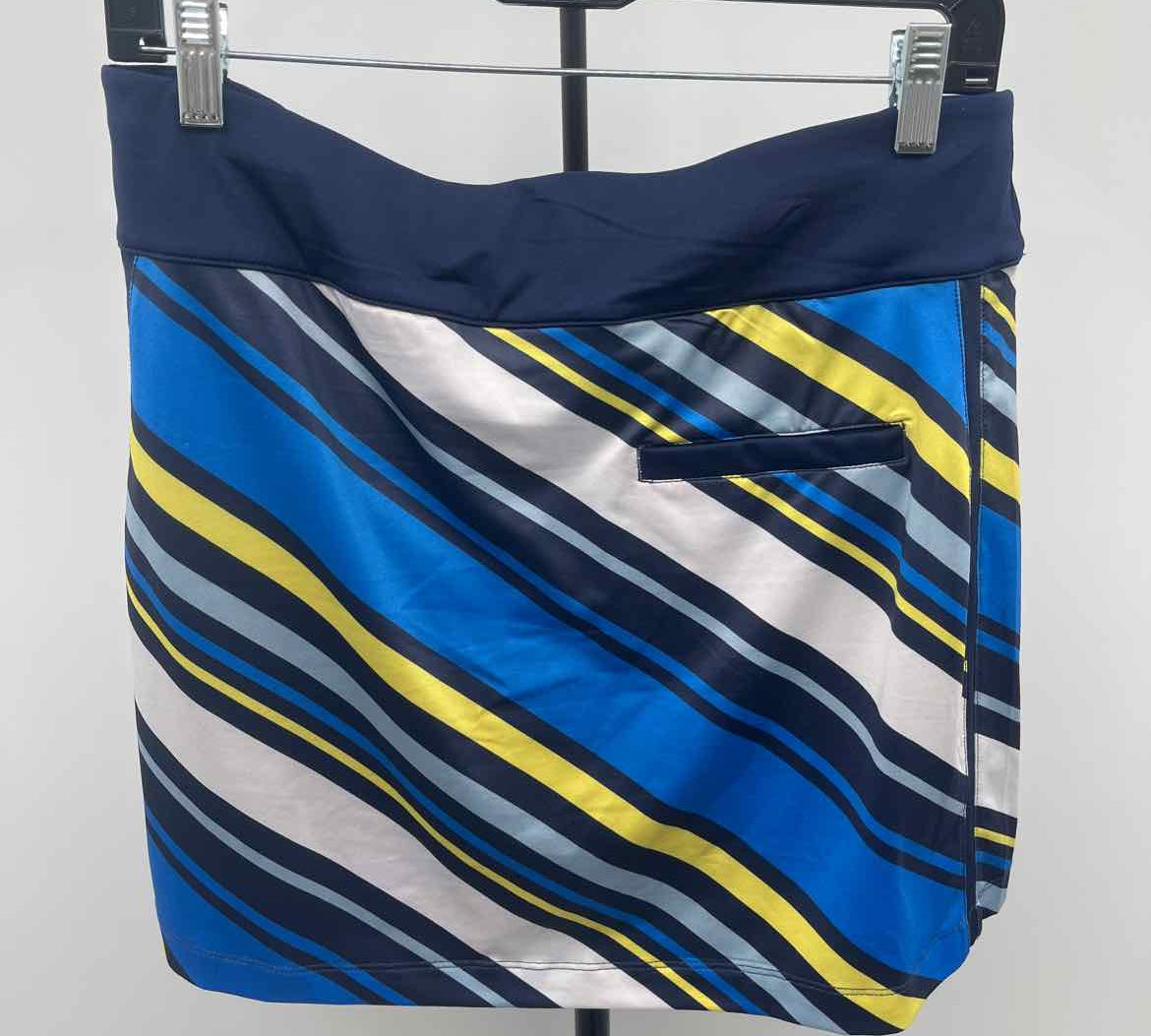 Lillie Green Women's Size 10 Blue Stripe Skirt