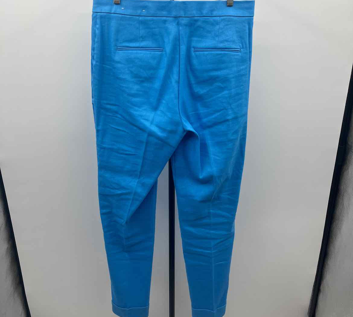 Ann Taylor Women's Size 8T Blue Solid Pants