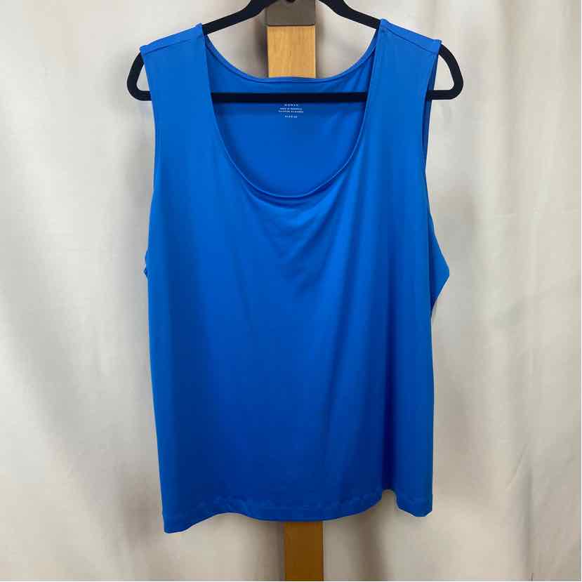 white christmas dresses Charter Club Women's Size 2X Blue Solid Tank – Gild the Lily