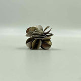 Silpada Women's Silver Ring