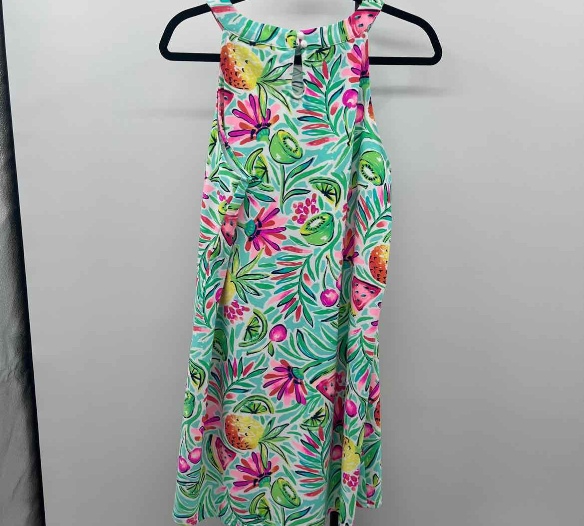 Aryeh Women's Size 16 Green Fruit Dress