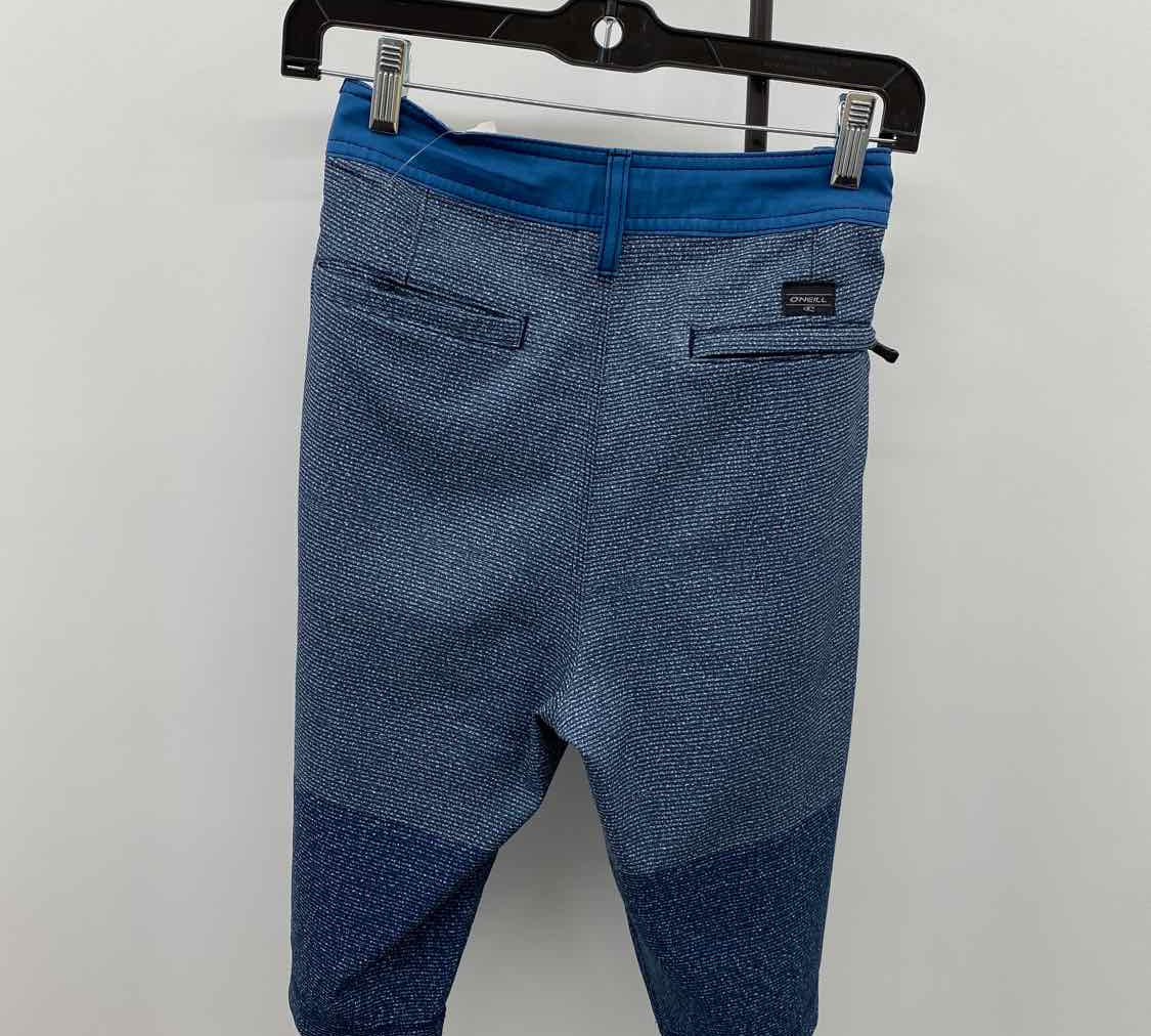 O'Neill Men's Size 30 Blue Striped Shorts