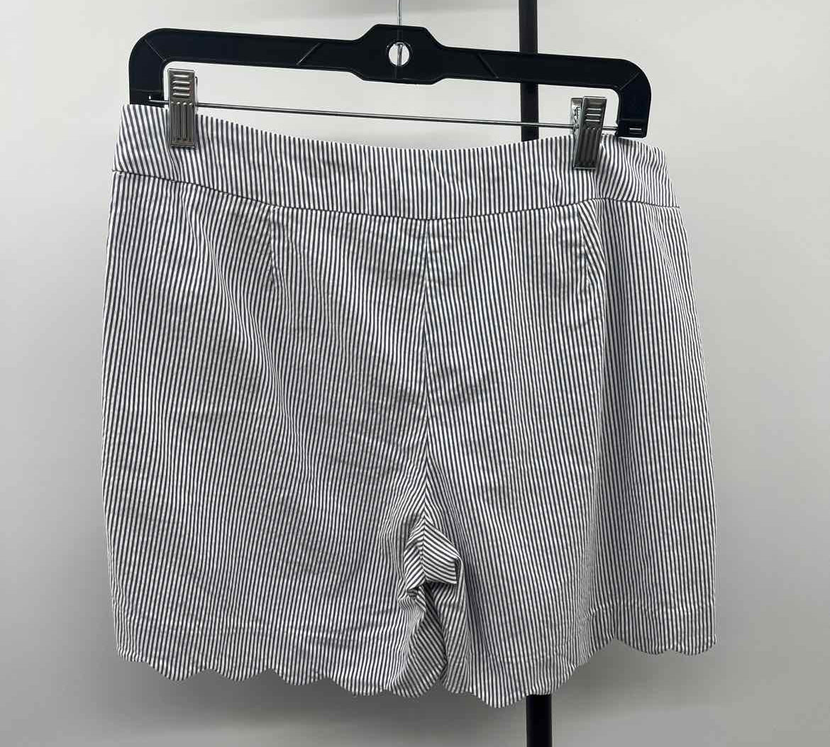 Zac & Rachel Women's Size 8 Blue Stripe Shorts