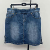 Jag Women's Size 14 Blue Solid Skirt