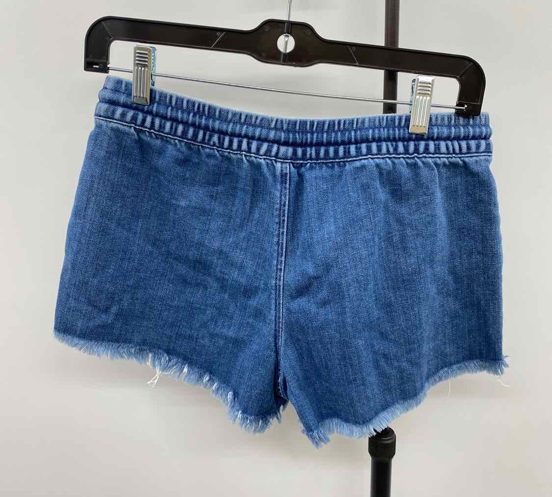 Aerie Women's Size 2 Blue Solid Shorts