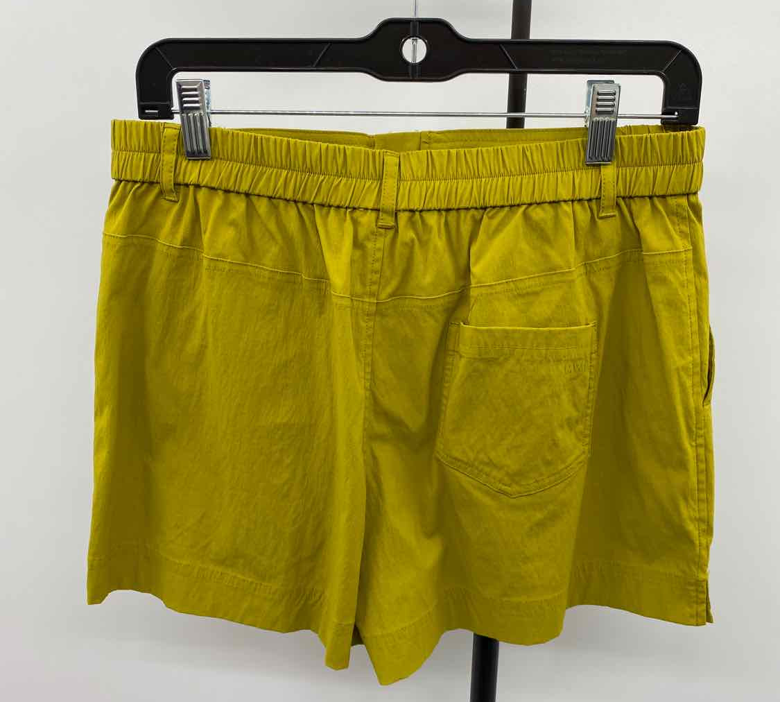 Madewell Junior's Size L Olive Solid Shorts