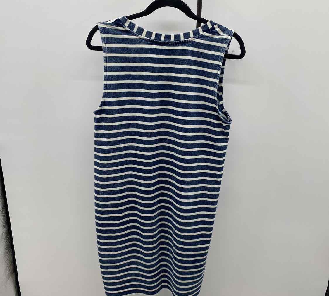 Jane & Dilancey Women's Size 10 Navy Stripe Dress
