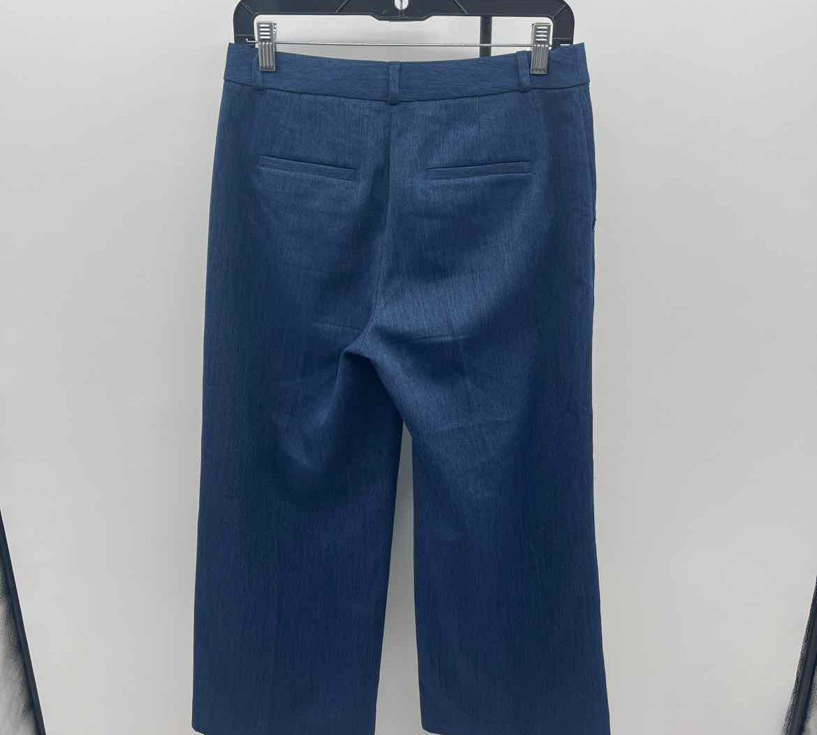 Banana Republic Women's Size 2 Blue Solid Pants