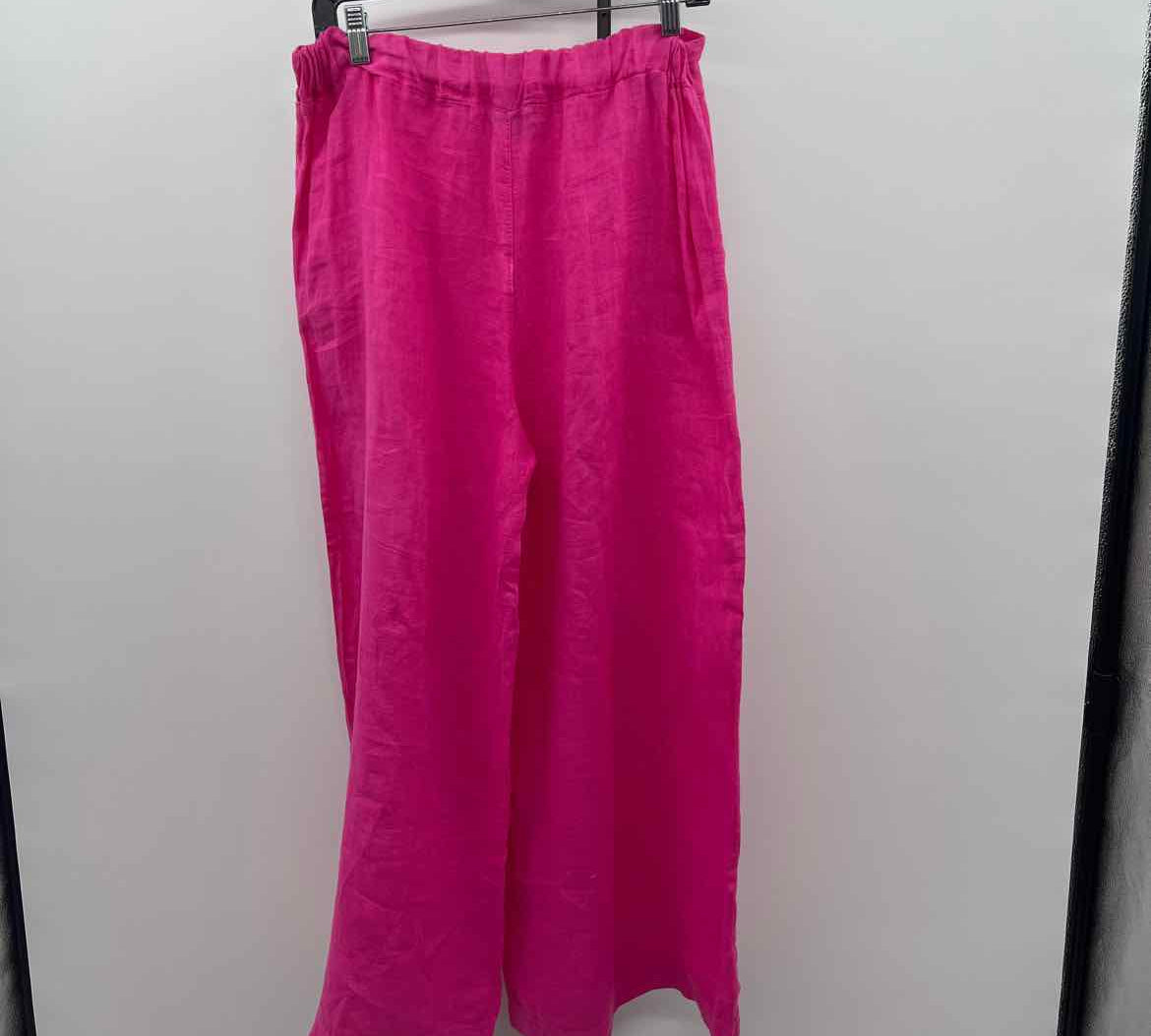 ASTRID Women's Size 10 Fuschia Solid Pants
