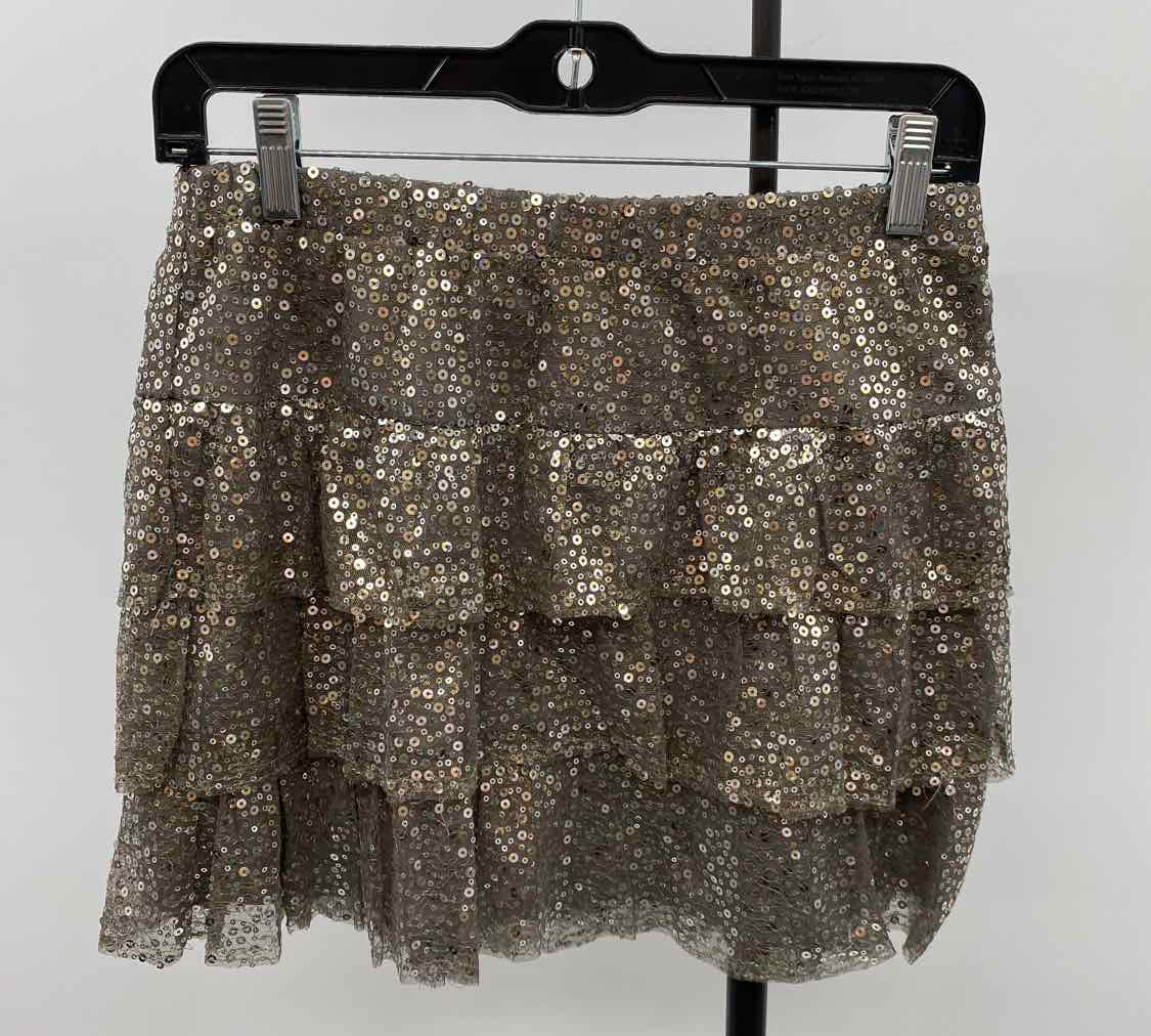 Express Women's Size 2 Pewter Sequins Skirt