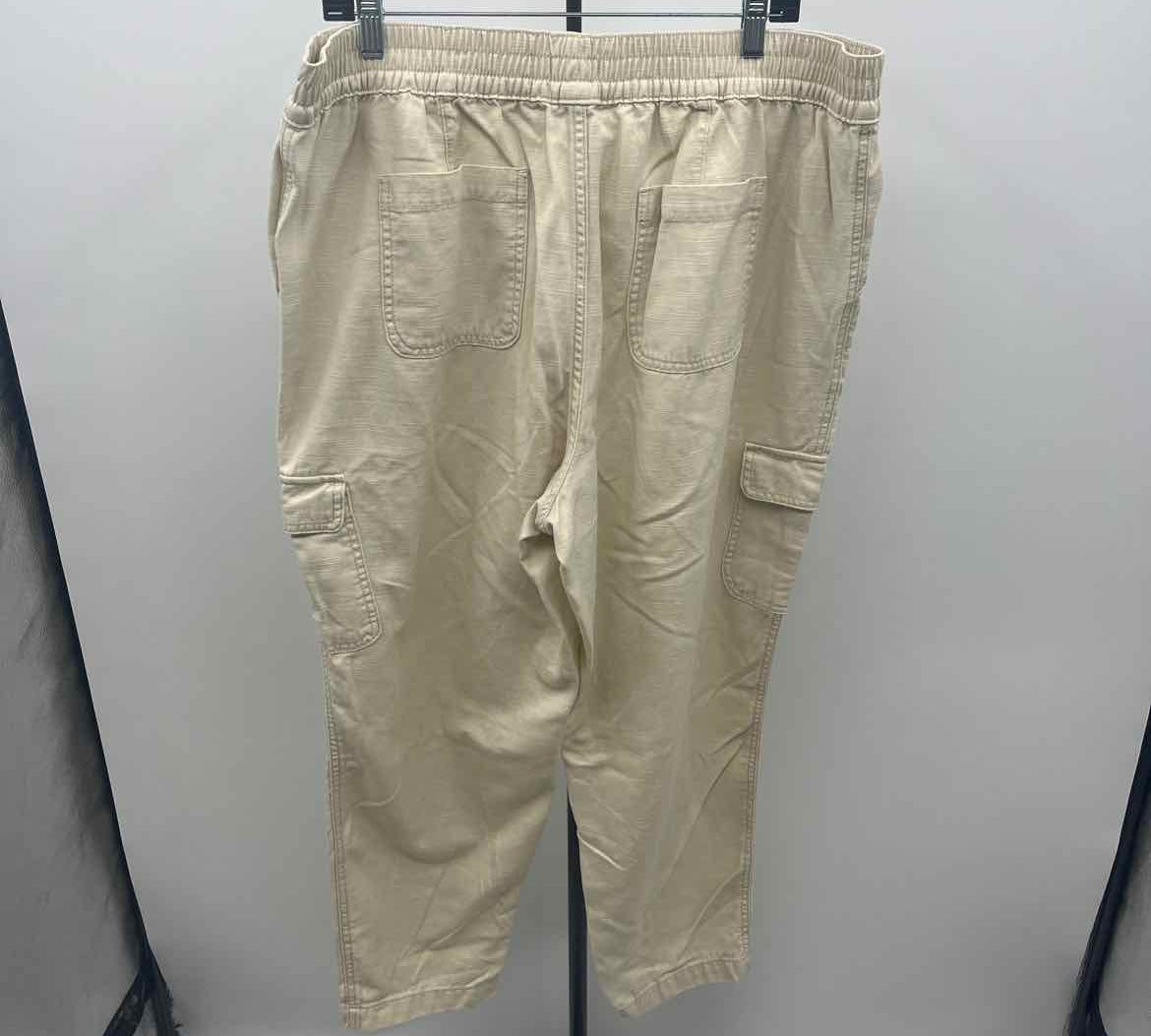 Wonderly Women's Size 16 Beige Solid Pants
