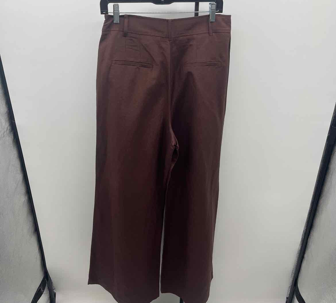 Ann Taylor Women's Size 8 Brown Solid Pants