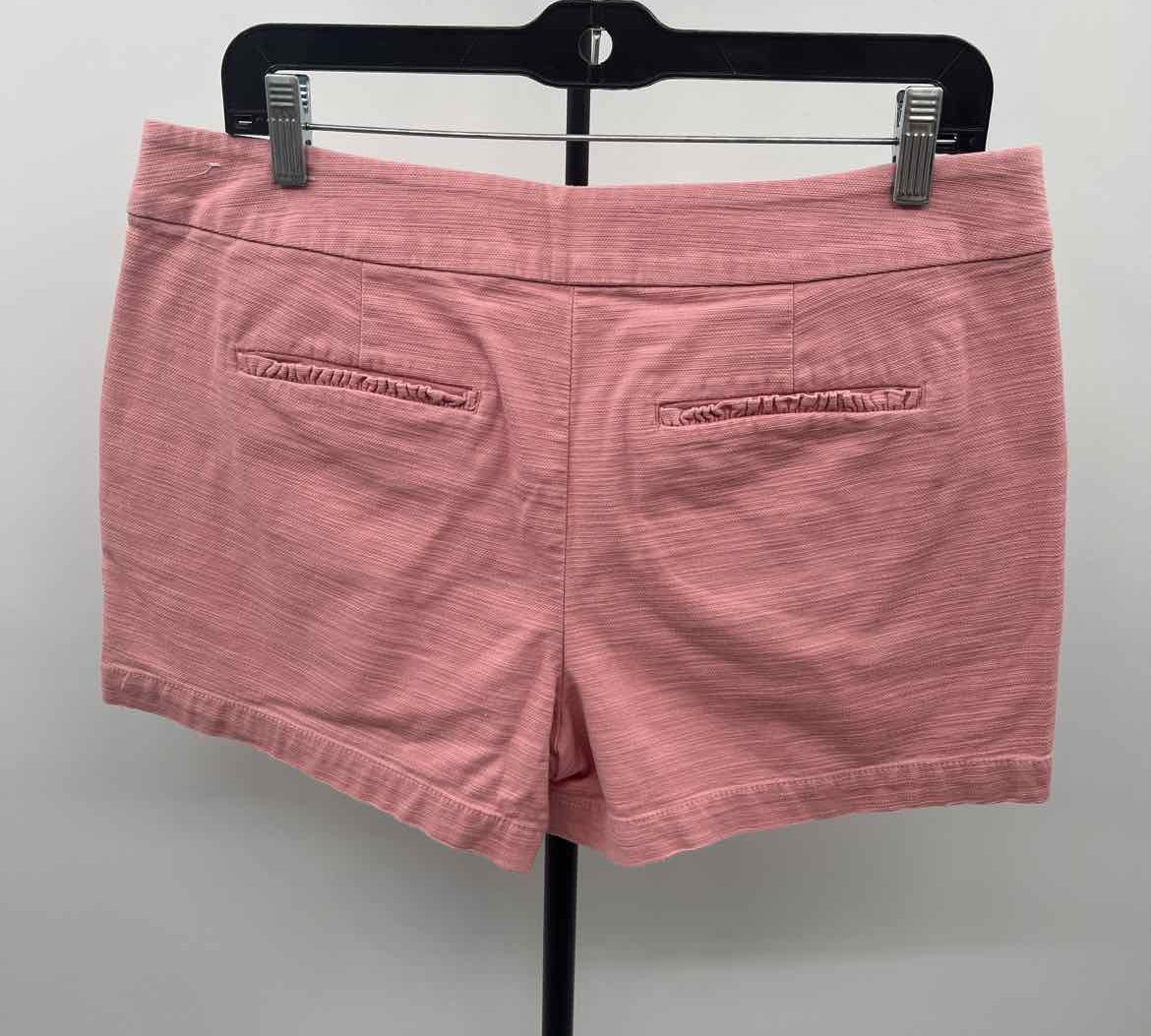 Loft Women's Size 8 Pink Textured Shorts
