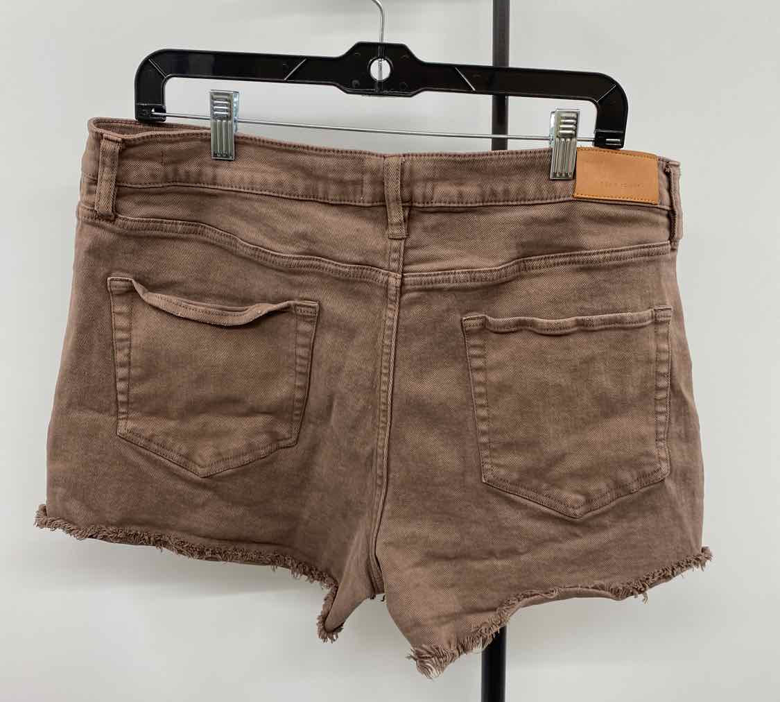 Dear John Women's Size 14 Brown Solid Shorts