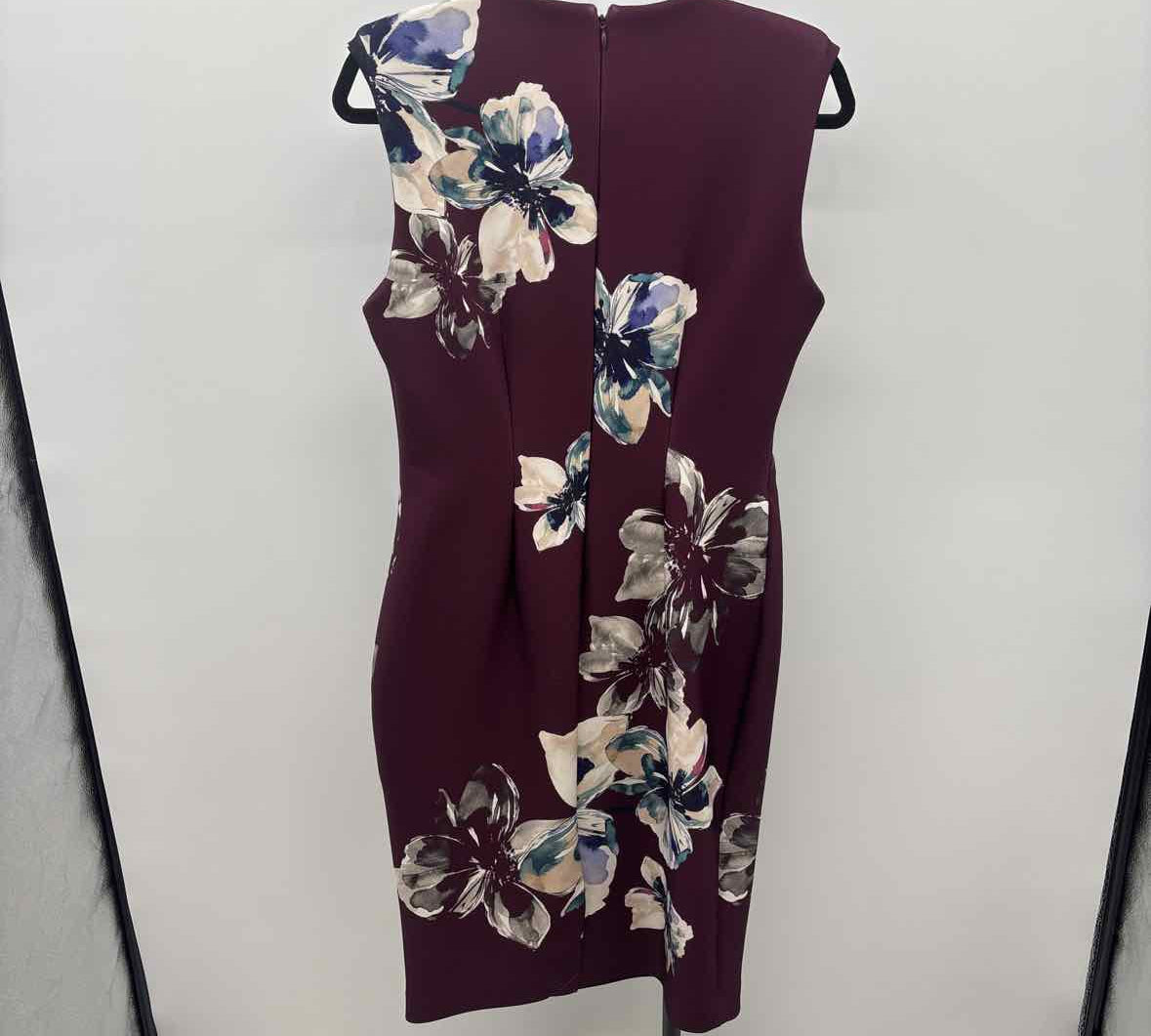 Calvin Klein Women's Size 8 maroon Floral Dress